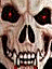 Skull 3