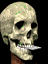 Skull 6